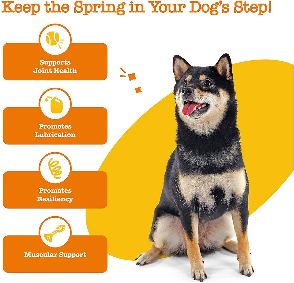 Mobility Bites soft chews for senior dogs with hip and joint pain