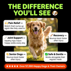 Bounce Back Mobility Bites ingredients and key benefits for dog joint health