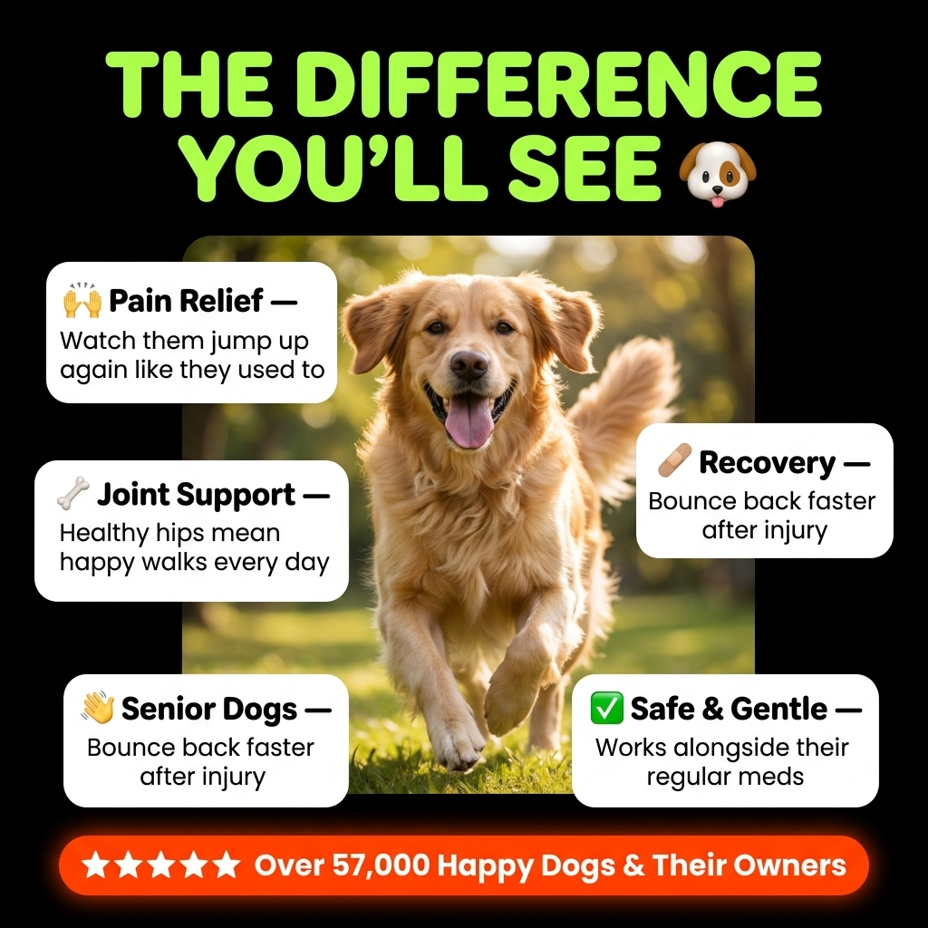 Bounce Back Mobility Bites for Dogs Glucosamine, Chondroitin & OptiMSM